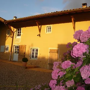 - Maison De Marie , Messimy-sur-Saone Frankrijk
